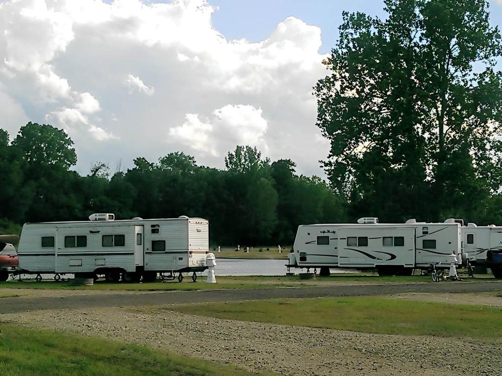 Sites by trees at Harbor Cove RV Resort