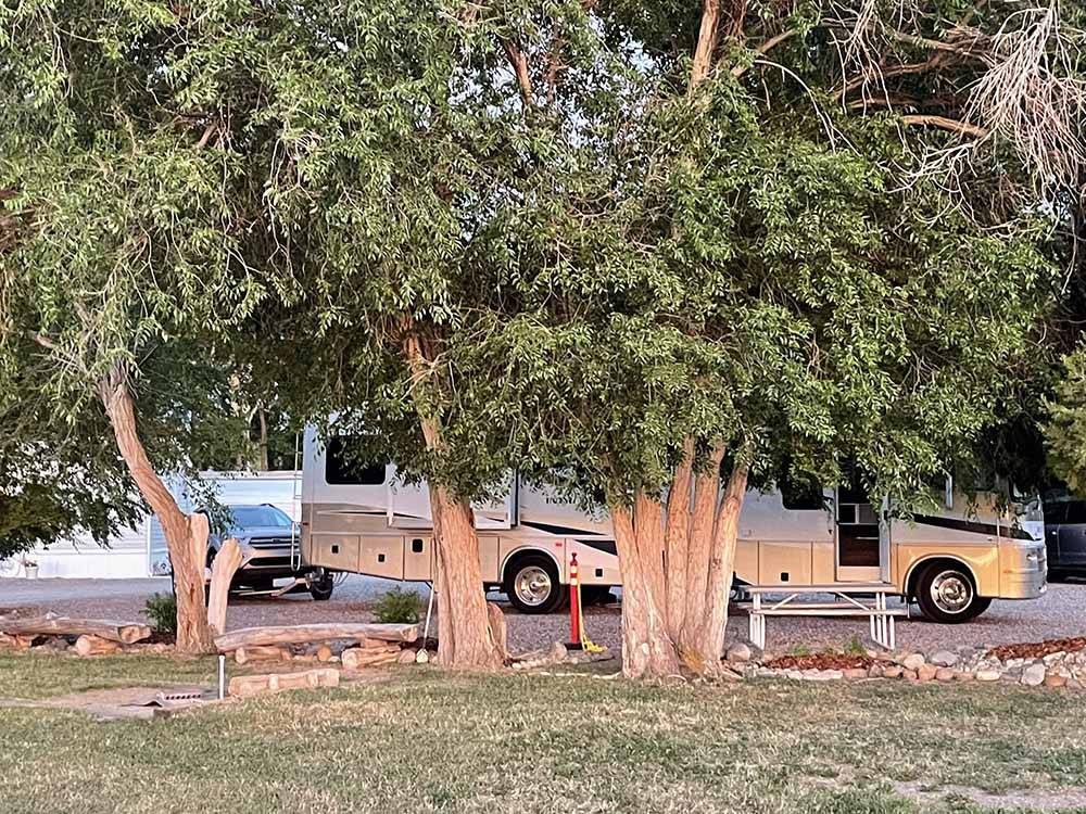 A group of trees by an RV site at WORLAND RV PARK AND CAMPGROUND
