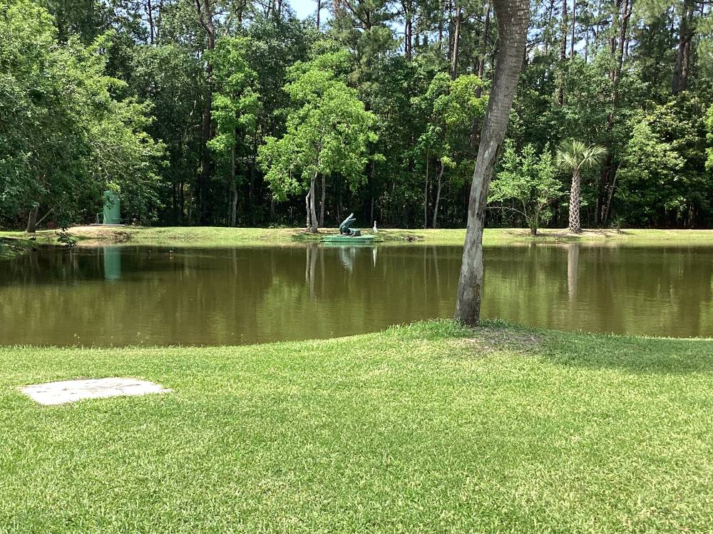 Campground Image