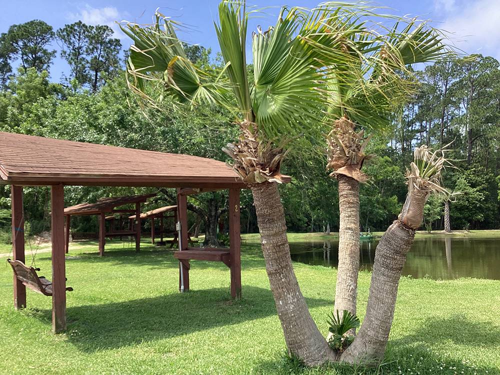 Campground Image