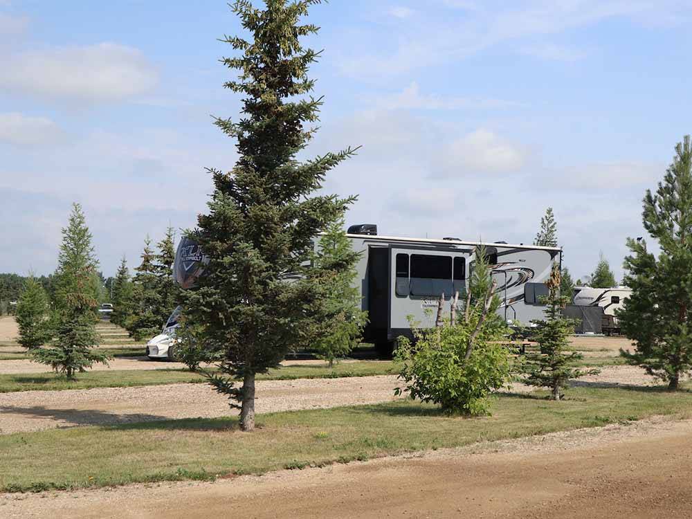 A line of trees between RV sites at RENDEZ VOUS RV PARK & STORAGE