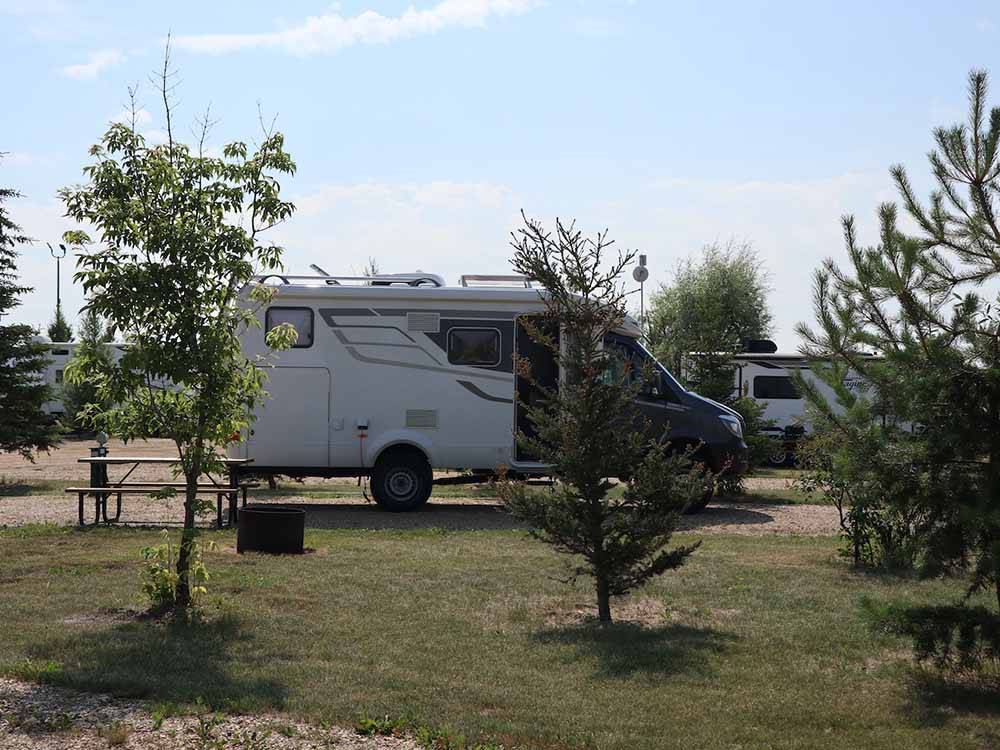 A group of trees and a picnic table at RENDEZ VOUS RV PARK & STORAGE