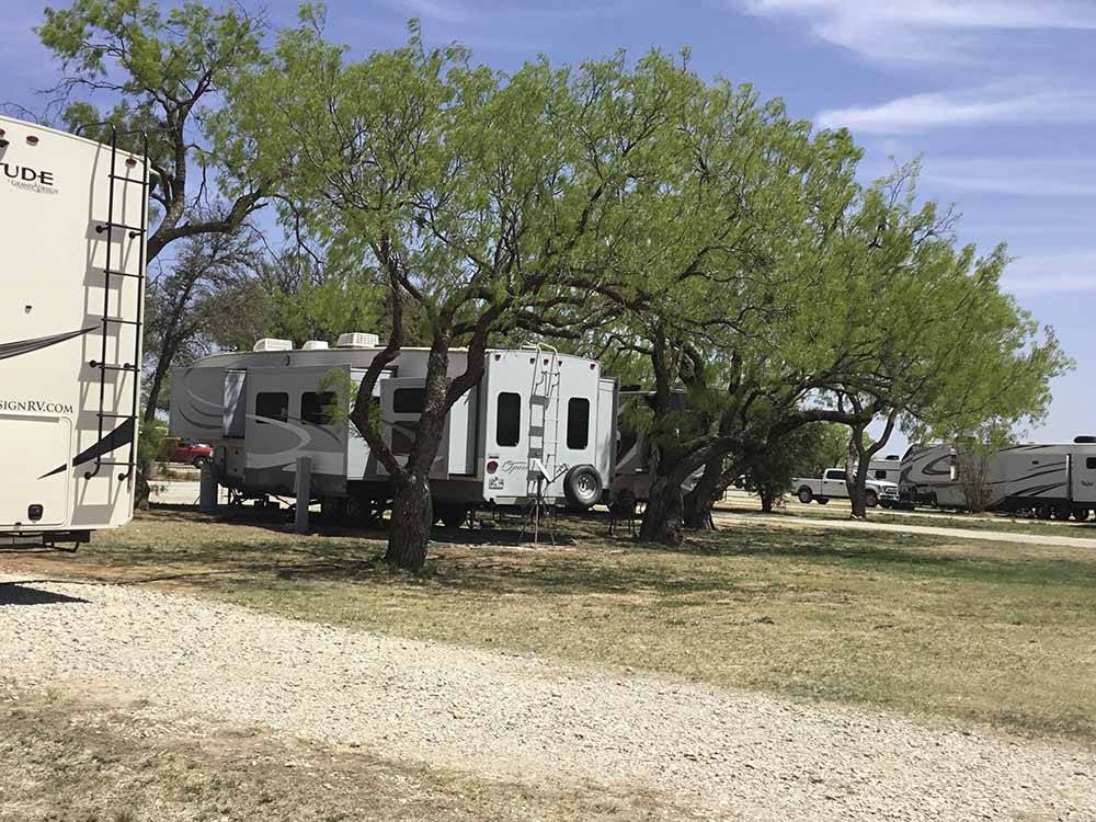 Gravel RV sites with trees at CONCHO PEARL RV ESTATES