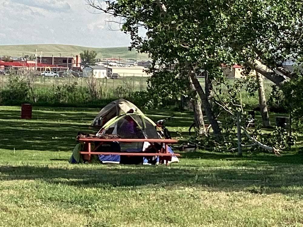Tent area under shade tree with picnic table at SLEEPING WOLF CAMPGROUND & RV PARK