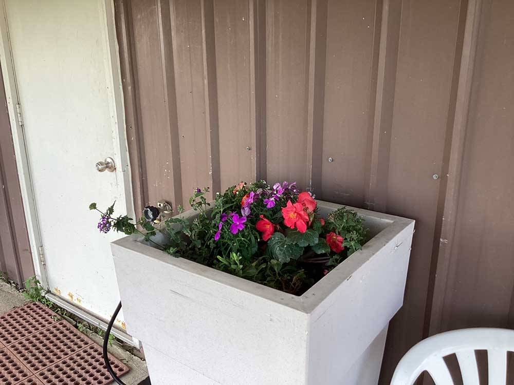 Flower pot with colorful blooms at SLEEPING WOLF CAMPGROUND & RV PARK