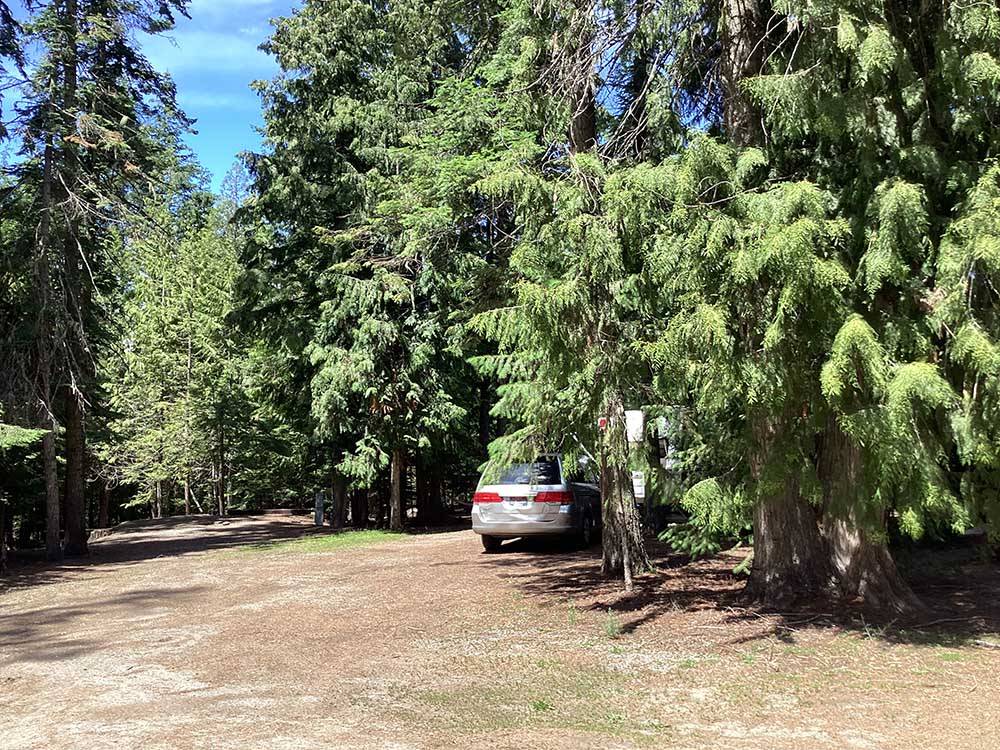 A row of RV sites covered with trees at THE HEMLOCKS RV AND LODGING