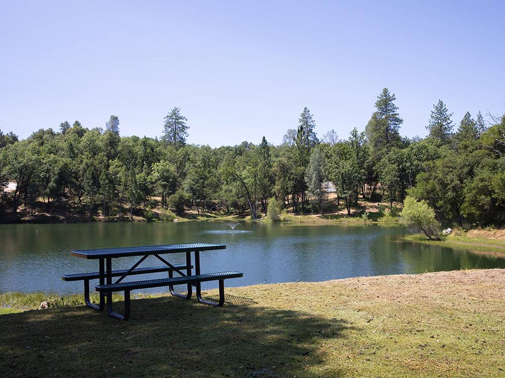 A picnic table by the water