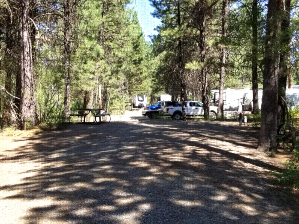 RV's Parked at Sumpter RV Park