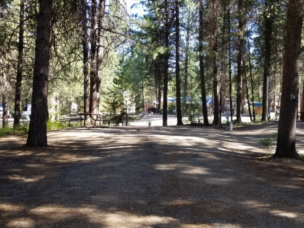 Shady sites Sumpter RV Park