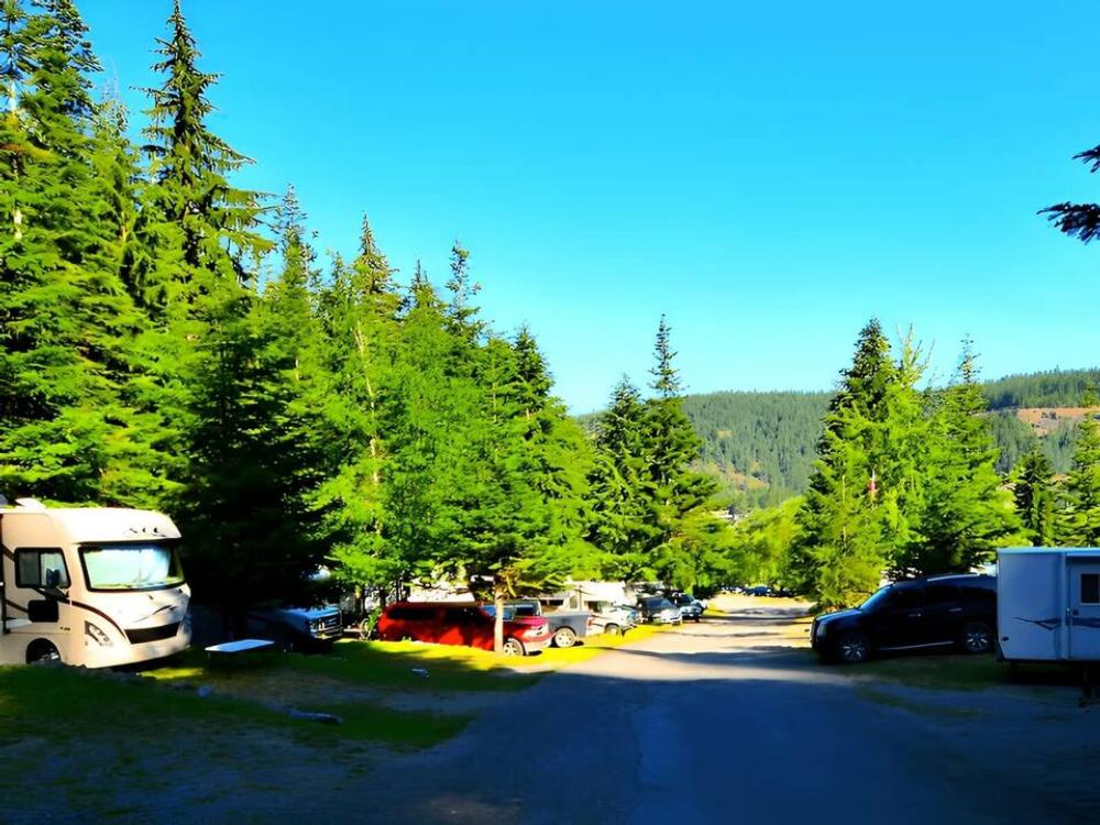 RV sites nestled in the tall pines at Camp Coeur d'Alene