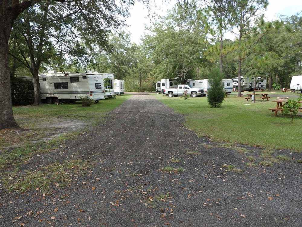 The road going thru the campground at OKEFENOKEE PASTIMES CABINS & CAMPGROUND