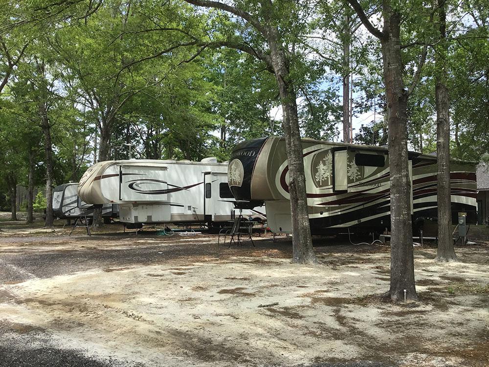 A row of trailers parked in sites at OKEFENOKEE PASTIMES CABINS & CAMPGROUND