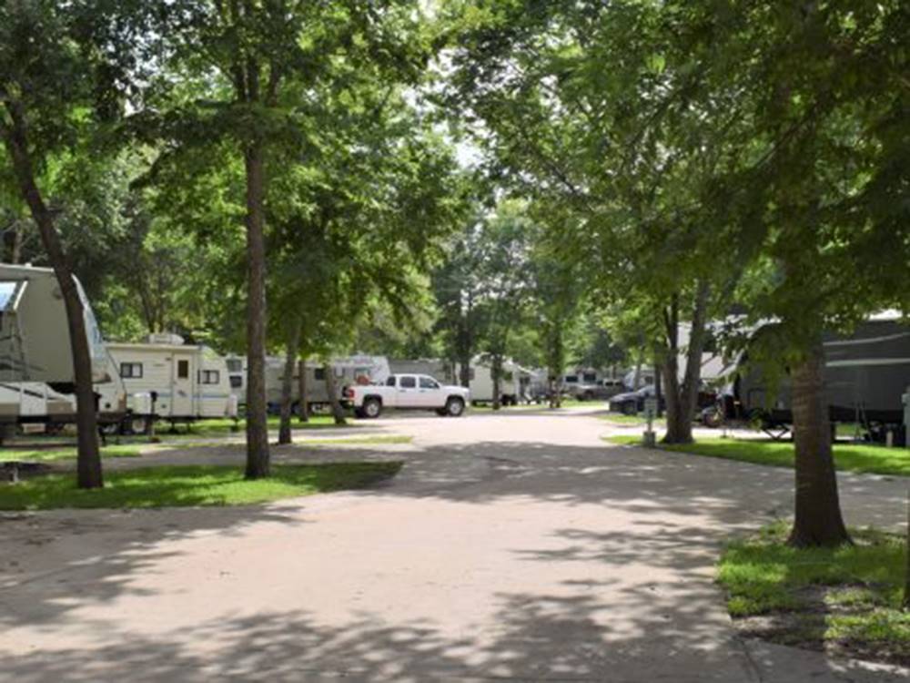 Shaded road leading to sites at Stonebridge RV Park & Resort