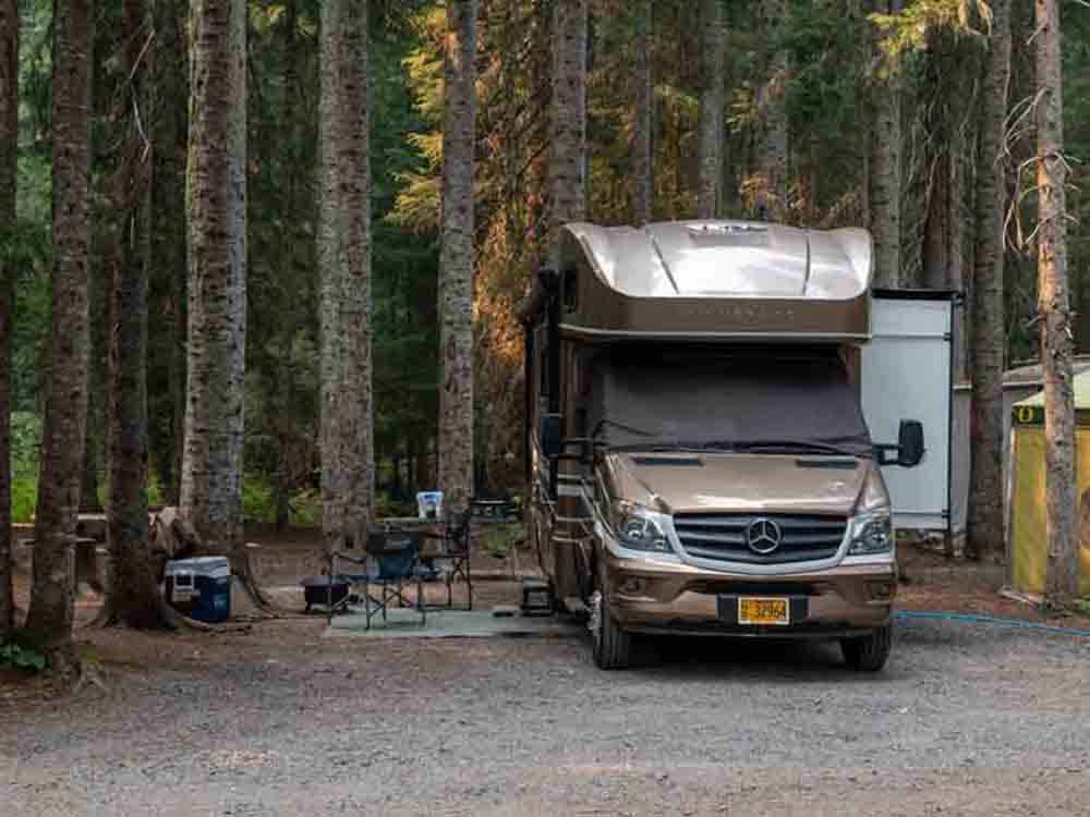 A motorhome on a RV site surrounded by trees at SHELTER COVE RESORT AND MARINA