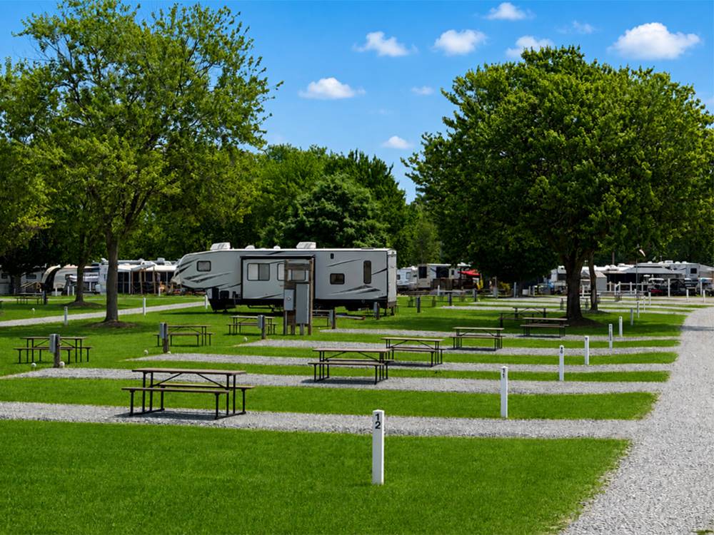 Grassy area near sites