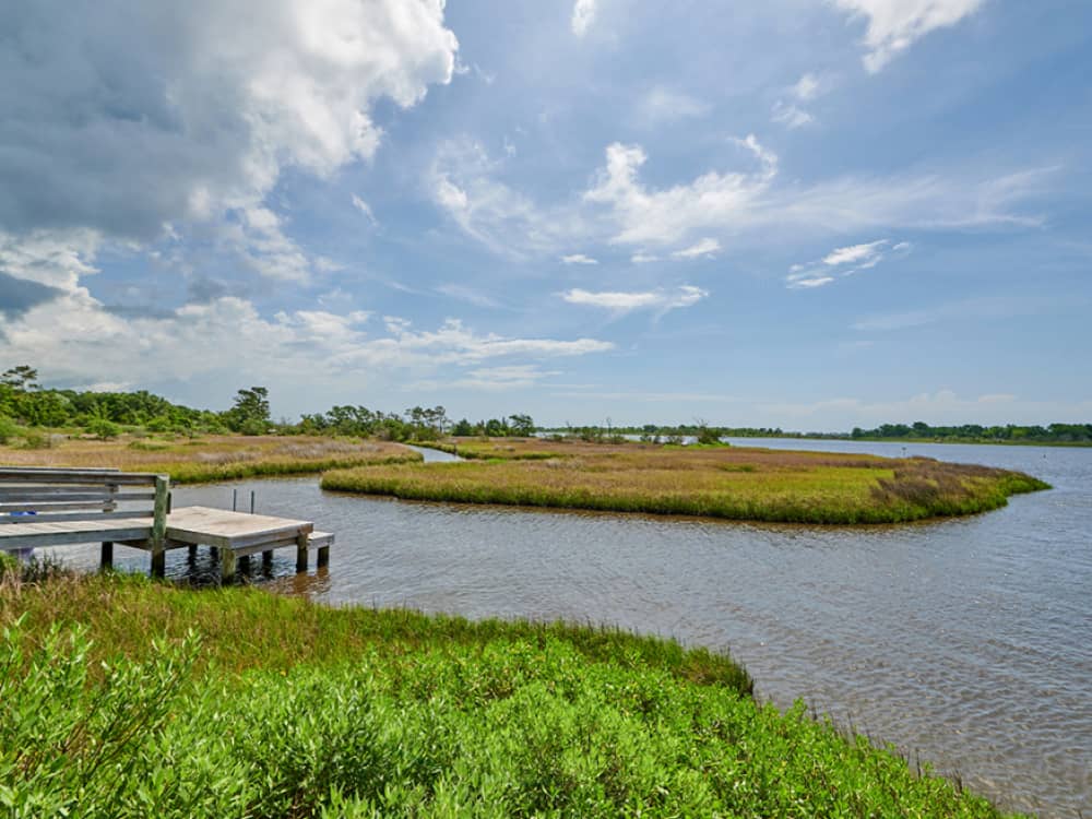 The dock going to the river