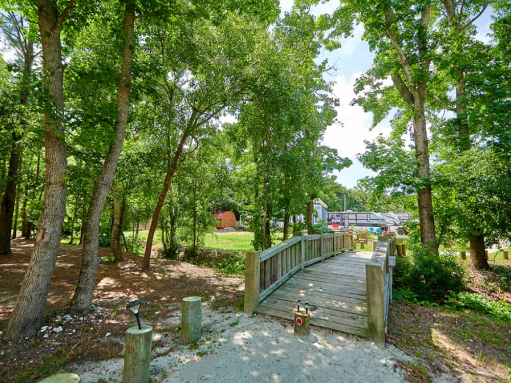 A walking path to get to the sites