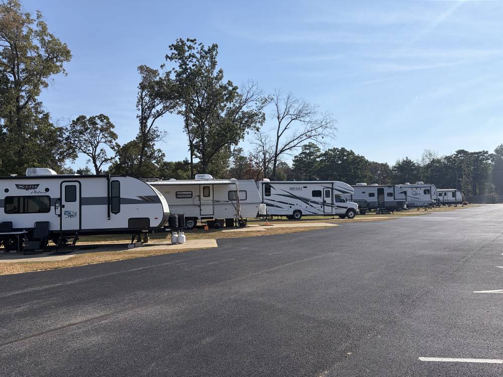 A variety of RVs at sites