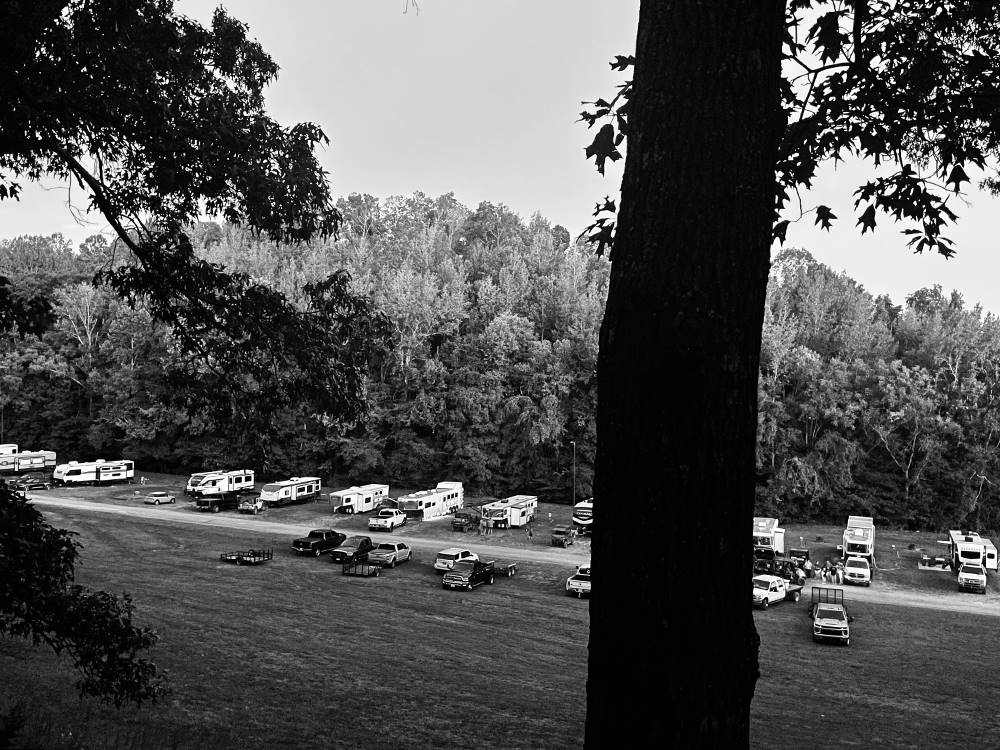 A variety of RVs parked at sites