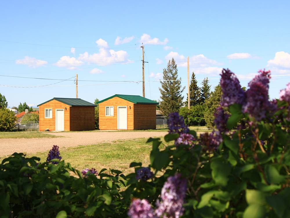 Cabin rentals
