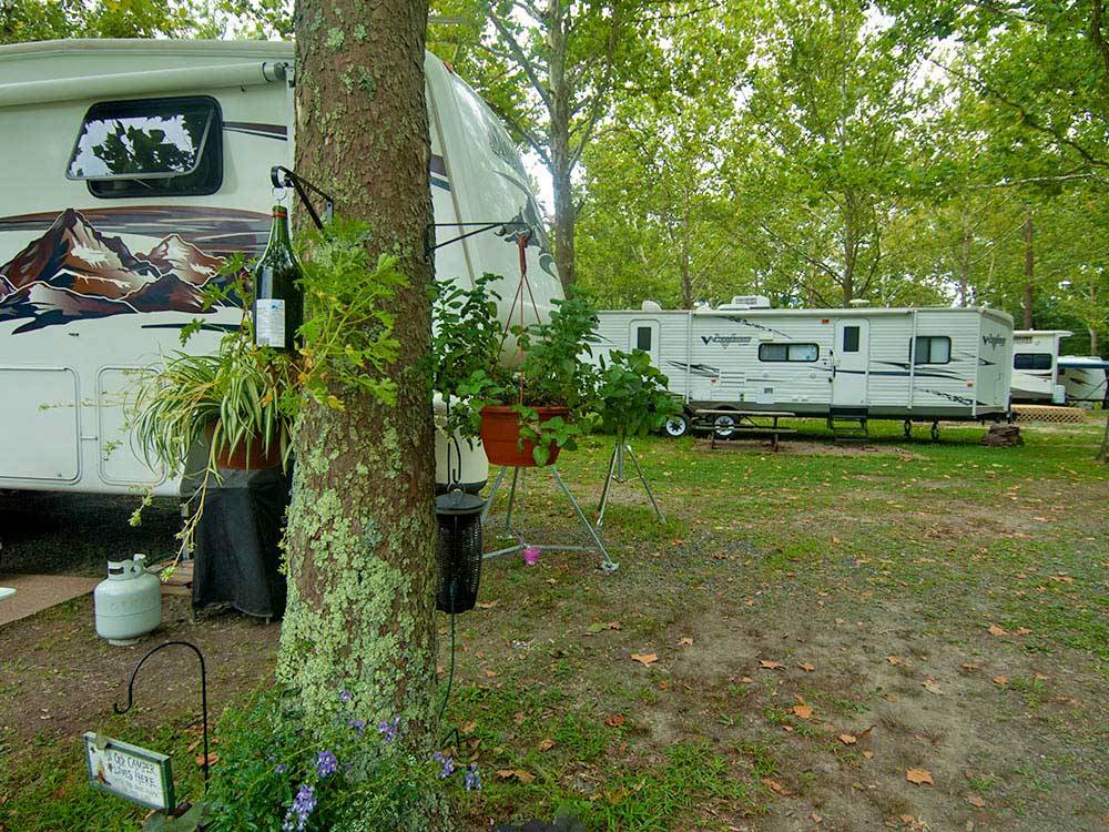 Trailers camping at campsite at THOUSAND TRAILS HARBOR VIEW