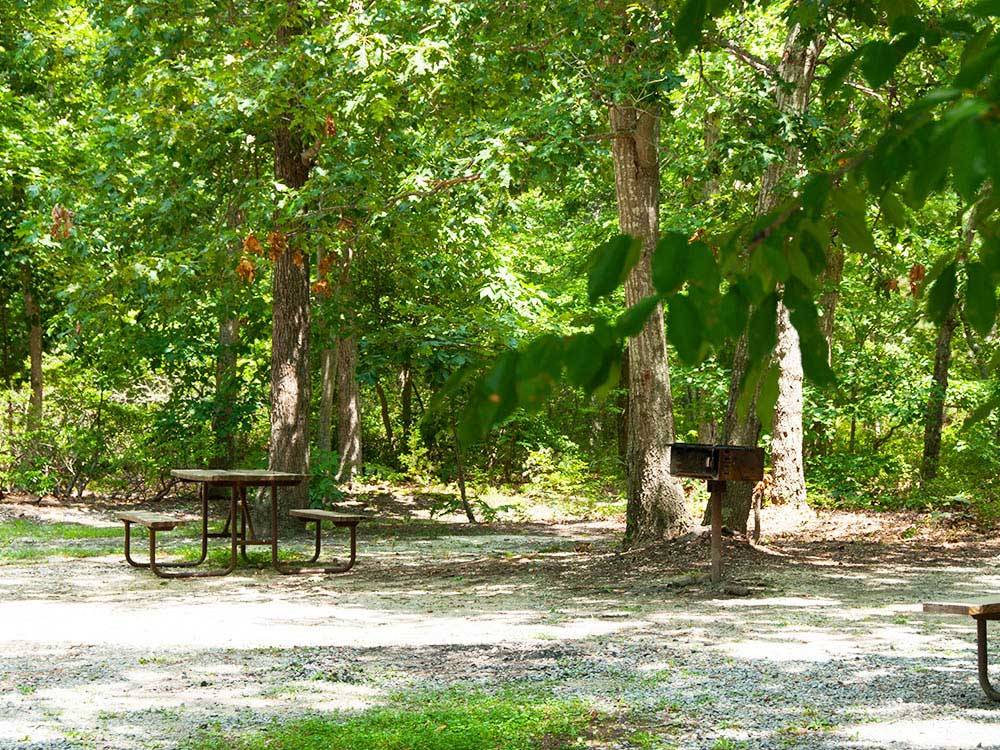 Picnic table at campsite at THOUSAND TRAILS LAKE & SHORE