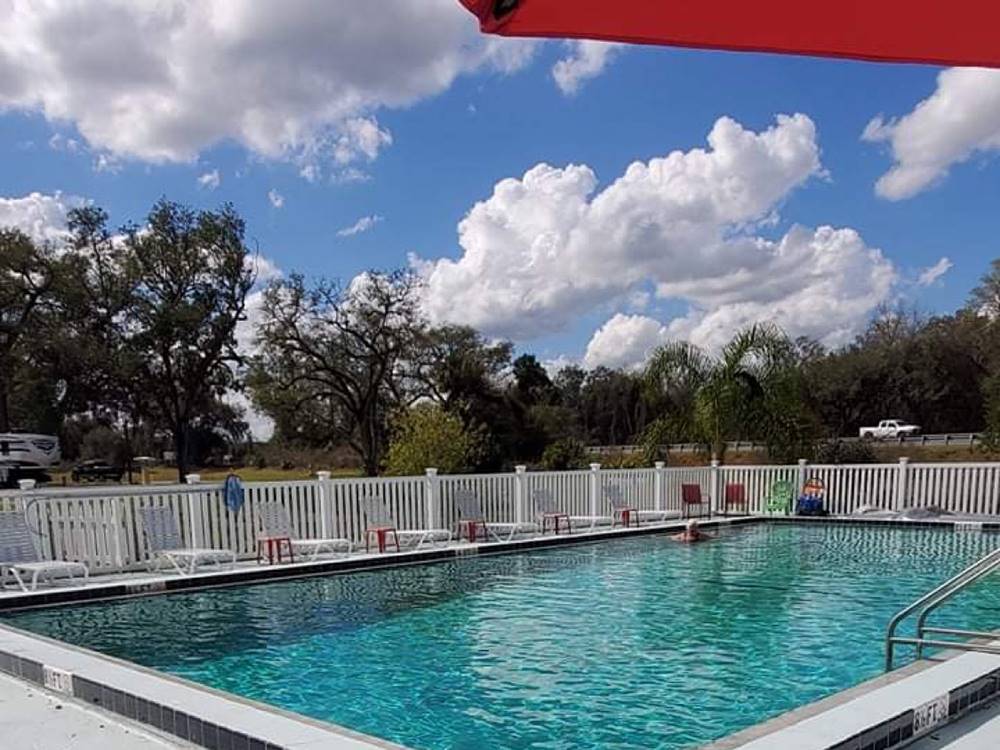 A large swimming pool with lounge chairs at BREEZY OAKS RV PARK