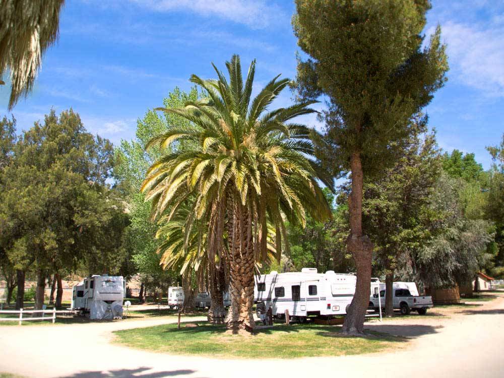 Trailers camping at campsite at THOUSAND TRAILS SOLEDAD CANYON