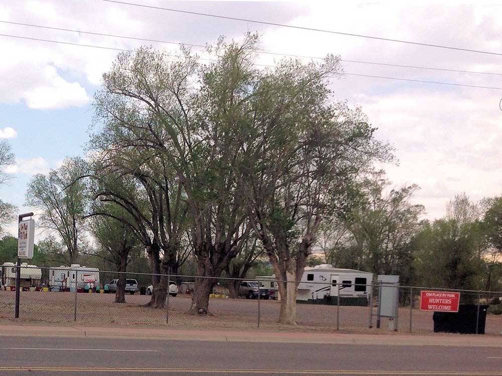 A group of trees in the campground  at OM PLACE RV PARK