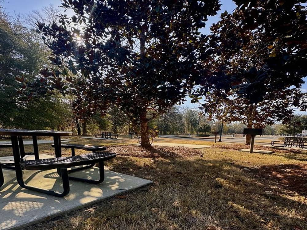 A picnic table in a shaded RV site
