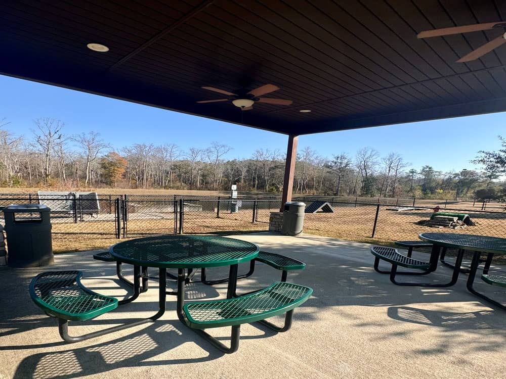 A view of the pond from the pavilion
