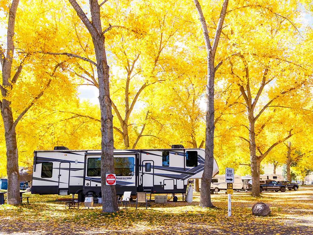 A fifth wheel trailer in a gravel site with beautiful trees at ECHO ISLAND RV RESORT