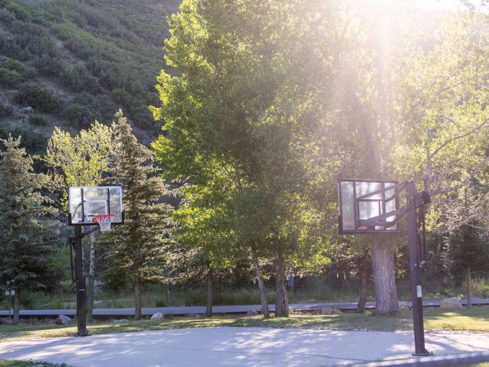 Basketball court