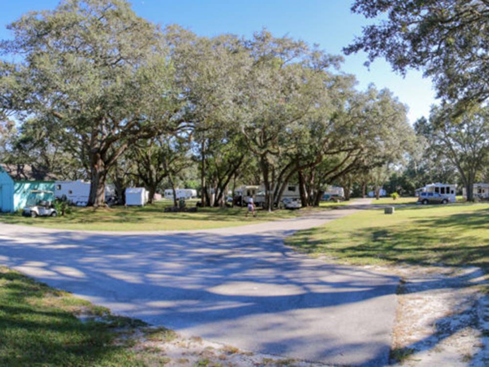 Large trees line the campsites at The Oaks at Zephyrhills