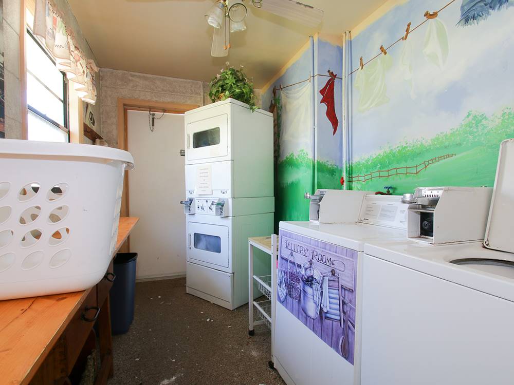 Laundry basket and machines at The Oaks at Zephyrhills