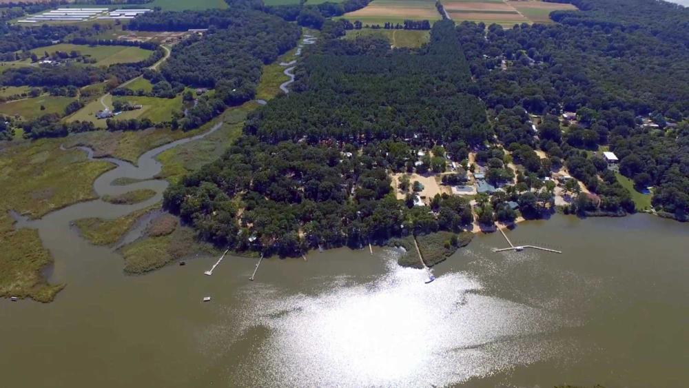 Area view of lake at Duckneck Campground