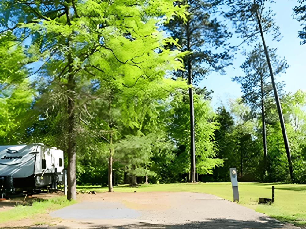 Open RV site at Broad River Campground & RV Park