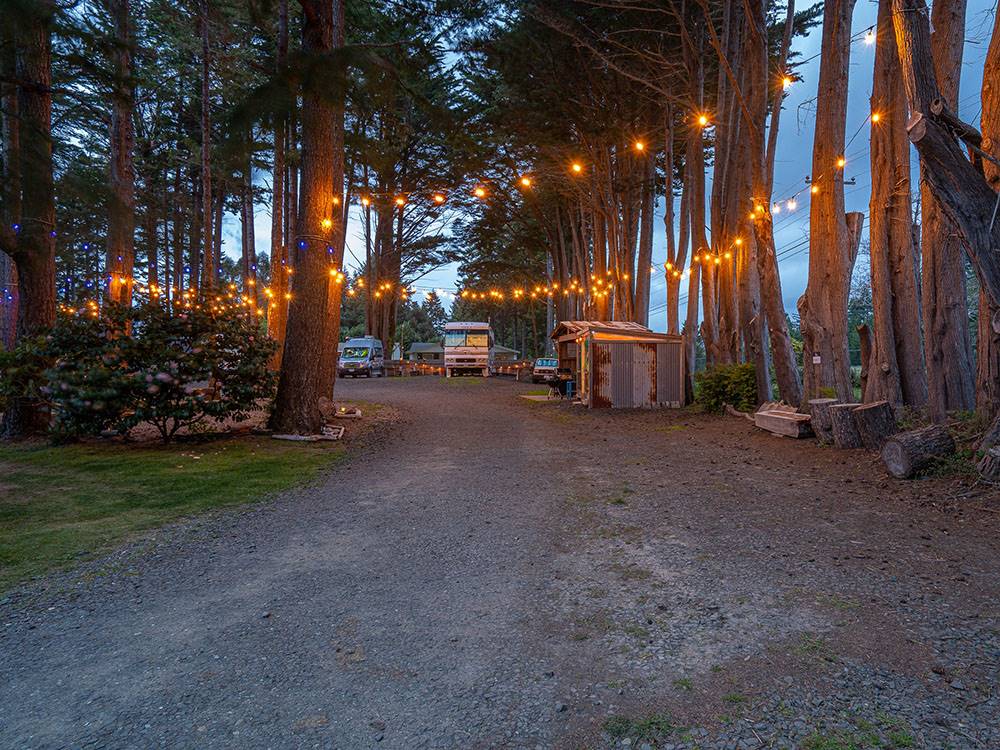 Campsite with lights