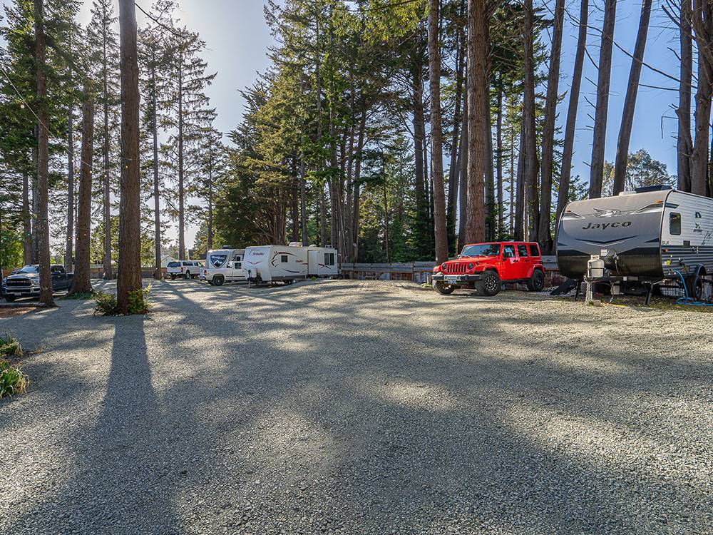 RVs parked on gravel lots under trees
