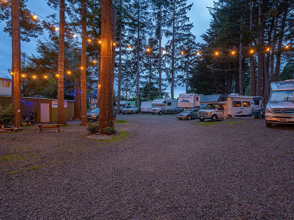 Evening in the RV park 