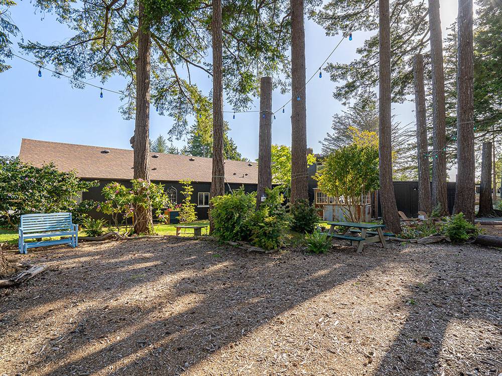 Campground area near trees and buildings