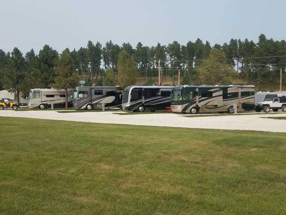 A row of motorhomes parked in gravel sites at CUSTER CROSSING FAMILY CAMPGROUND