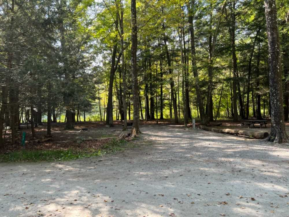 Paved site at Dingmans Campground