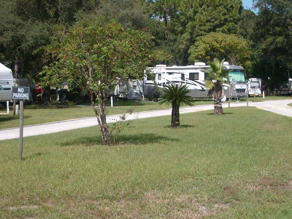 A grassy area in front of some RV sites at LOST LAKE RV PARK