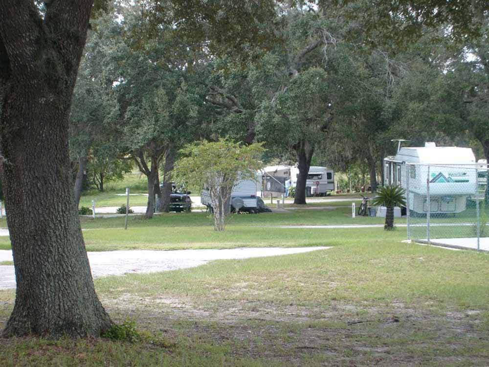 A view of the tree lined RV sites at LOST LAKE RV PARK