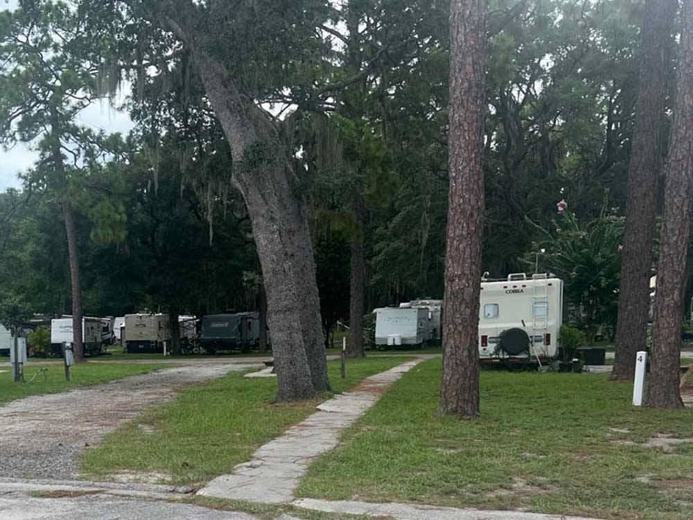 A group of RV sites in trees at LOST LAKE RV PARK