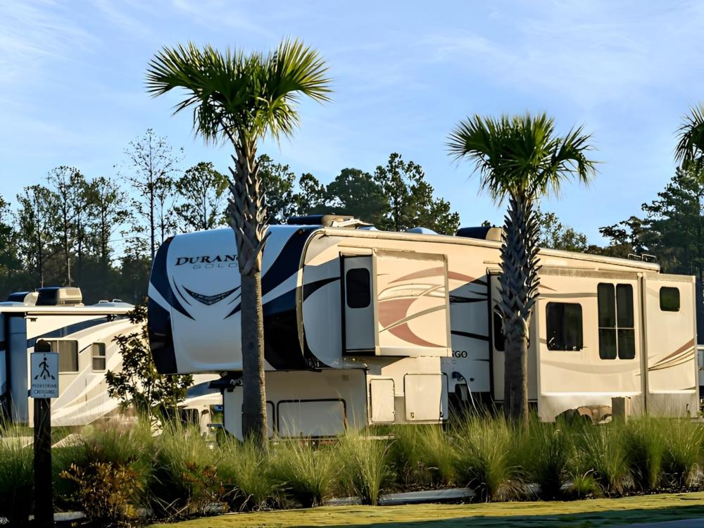 RV parked in a site with palm trees