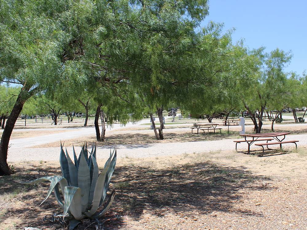 Partially shaded sites at Cotulla Camp Resort