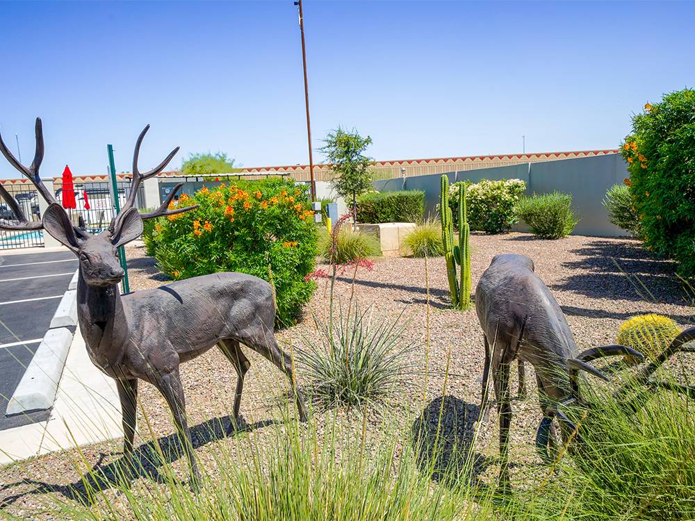 Artificial deer at Deer Valley RV Park