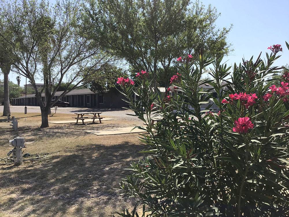 Site with picnic table at Amigo Inn & RV Park